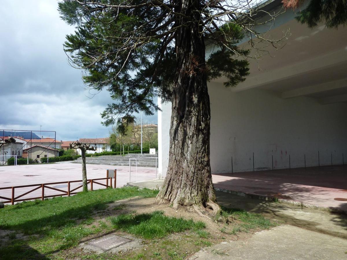 Apartamentos Rurales Imaz Etxea - Urbasa Olazagutia Номер фото